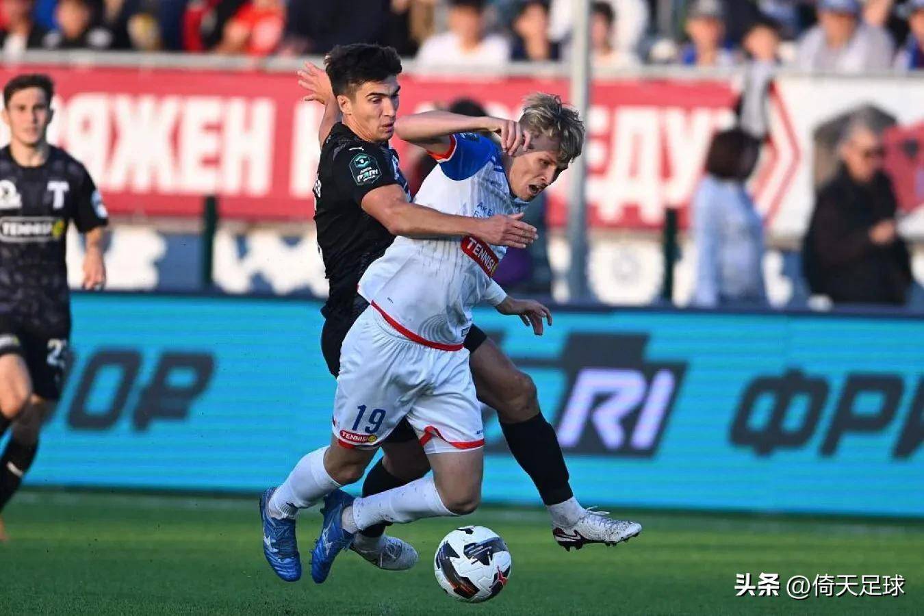 开云入口 -本菲卡波尔图冠军对比